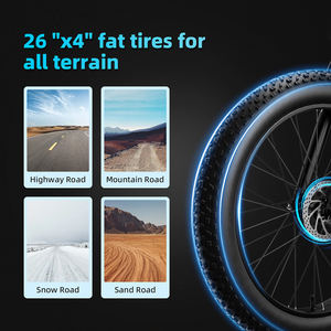 48V Tweewielige elektrische fiets met vering en 20AH lithium batterij met lange actieradius, fatbike - Product Image 5