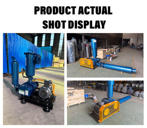 Customizable Roots Blower Stable Vacuum High Efficiency Low Noise for <b>Fish</b> Farming Aeration System - Product Image 4