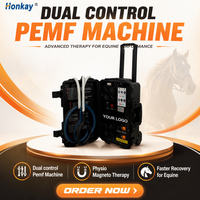 Perangkat Terapi Magnetik Pemf untuk Pengobatan Nyeri Kuda, Loop Pemf Kontrol Ganda, Loop Elektromagnetik Pulsa Pemf Veteriner