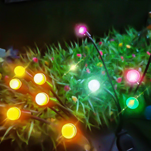 Les nouvelles lumières solaires imperméables extérieures de luciole IP65 6 8 10 ont mené les lumières solaires de jardin de lumière solaire de pelouse pour la décoration extérieure - Product Image 2