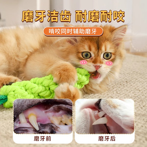Jouet à mâcher en forme de fruit d'arum pour chat, orange-rouge, durable, bâton de dentition pour chats, style dessin animé, jouet pour animaux de compagnie - Product Image 3