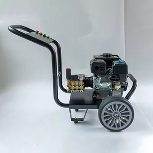 Idropulitrice a Benzina con <span class=keywords><strong>Pressione</strong></span> Regolabile, Portatile, 250 bar, 10 CV, 380V per l'Industria Alimentare - Product Image 3