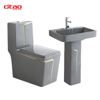 Ensemble de sanitaires en céramique gris pour salle de bain : lavabos sur pied et WC monobloc