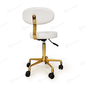 Fauteuil dentaire réglable Anteeth avec roulettes, tabouret mobile de barbier, chaise de salon, chaise de dentiste ergonomique sans accoudoirs, chaise de laboratoire - Product Image 4