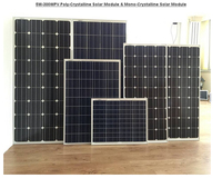 Petit panneau solaire miniature 100W 6V 12V 18V 20W 30W 40W 50W 150W 50 Watt Panneau solaire personnalisé pour extérieur et maison