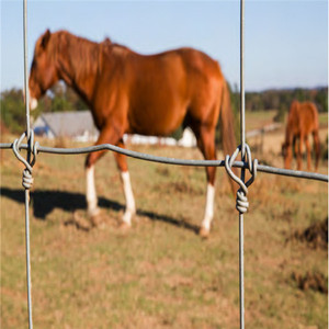 Rollo de 50m de Cerca Agrícola Tejida Galvanizada en Caliente de 1.524m (5 pies) con Nudos Fijos y <span class=keywords><strong>Curva</strong></span> de Tensión para Ciervos - Product Image 5