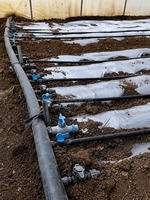 Kit d'irrigation goutte à goutte pour culture en masse, noir, 16 mm, émetteur plat, PE vierge authentique, pour une hectare