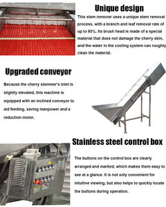 Machine à dénoyauter les cerises multifonctionnelle en acier inoxydable, très vendue, pour la vente en gros - Product Image 2