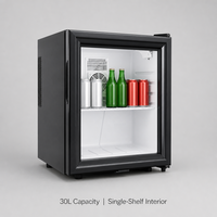 Mini Refrigerador Termoeléctrico Compacto de 30L con Puerta de Plástico para Negocios, Hoteles, Escritorio, EE. UU.