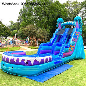 Glissière d'eau tropicale de videur sautant de palmier d'arrière-cour commerciale - Product Image 4