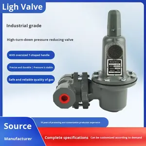 Regolatori e Valvole di Riduzione per <span class=keywords><strong>Gas</strong></span> Naturale ad Alta Pressione di Alta Qualità Prodotti in Cina - Product Image 2