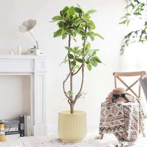 Fleid HDPE Polyethylene Contemporary Floor Vase Durable Eco-Friendly Lightweight High Quality Wide Mouth Fade Resistant - Product Image 4