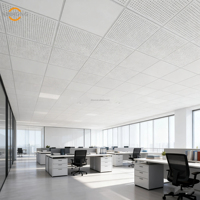 Techo Falso Decorativo Removible para Hospital, 600 x 600 mm, Techo Perforado de Aluminio, Diseño Moderno, Impermeable