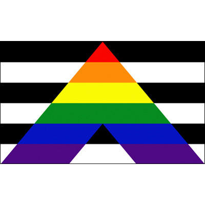 Alliés des hétérosexuels gays