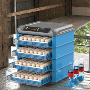 En Oferta: Incubadora Pequeña para 500 Huevos, Máquina Automática para Incubar, Precio de Fábrica, Fuente de Alimentación Dual 220v+12v - Product Image 3