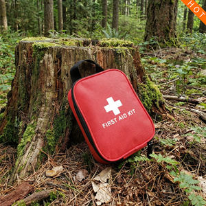 Trousse de premiers soins Baiyuheng pour les voyages, sac médical manuel, trousse de premiers soins manuelle pour la conduite, le camping - Product Image 1