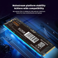 Microbhink logo kustom MTP2.0 m2 ssd 2280 Antarmuka Internal Solid State Drive 128GB 256GB 512GB 1TB SSD