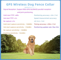 Système de clôture pour chien sans fil GPS de fabrication supérieure, rechargeable, haute précision, invisible, télécommande virtuelle, nylon, plastique