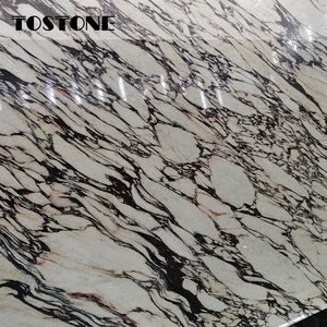 Tostone Offerta Speciale Lastra di Marmo Naturale Calacatta Viola 20MM <span class=keywords><strong>per</strong></span> Installazione su Cortili, Giardini, Vialetti e Cucine in Stile Vintage - Product Image 2