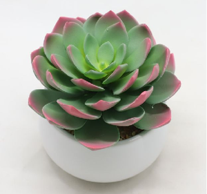 Piante Succulente Artificiali, Decorazioni con Piante Verdi, Mini Ornamenti <span class=keywords><strong>di</strong></span> <span class=keywords><strong>Cactus</strong></span>, Combinazione <span class=keywords><strong>di</strong></span> Vasi per Succulente, Bonsai - Product Image 5