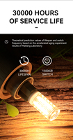 Ampoule LED G9 en silicone contemporaine, écoénergétique, certifiée CE, 3W/5W/7W/9W, température de couleur 2700K-6500K, Ra80 20000