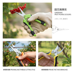 Joli ensemble de 4 cisailles de jardinage en acier inoxydable à lames croisées pour la taille des fleurs et des vigne - Product Image 4