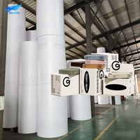 250gsm 300gsm 350gsm 400gsm Raw Material Paper Paperboards Wrapping Paper Package Packing Paper Thicker Paper Roll Cardstock