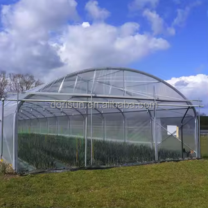 Serre agricole à arceaux <span class=keywords><strong>pour</strong></span> la culture des légumes, <span class=keywords><strong>tunnel</strong></span> à simple portée, à vendre - Product Image 5