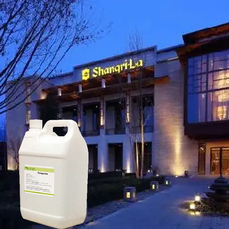 Best seller concentrated Shangri-la hotel fragrance oil for hotel diffuser making hotel pure aroma oil essential oil