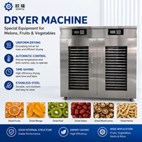 Automatische industriële fruit- en specerijen-dehydrator, hoog rendement, roestvrij staal, hetelucht droogapparatuur