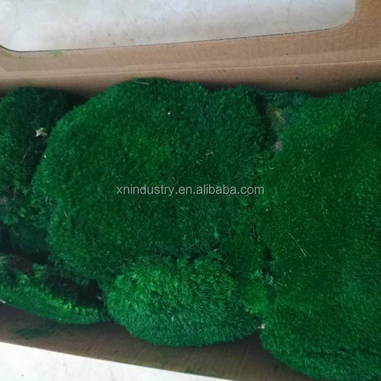 Verde oscuro