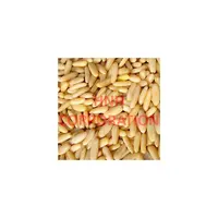 Raw Pine Nut Kernels without Shell, Pakistani Pine Nuts
