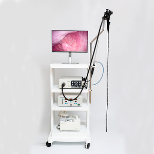 Endoscopio Veterinario a Basso Costo, Telecamera per Endoscopia Gastrointestinale, Prezzo Macchina per Colonscopia Canina - Product Image 4