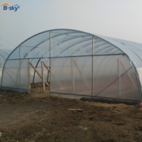 Serre tunnel agricole monopente (abri en plastique) en PE pour l'agriculture tropicale, la culture hydroponique, à faible coût et à rendement élevé