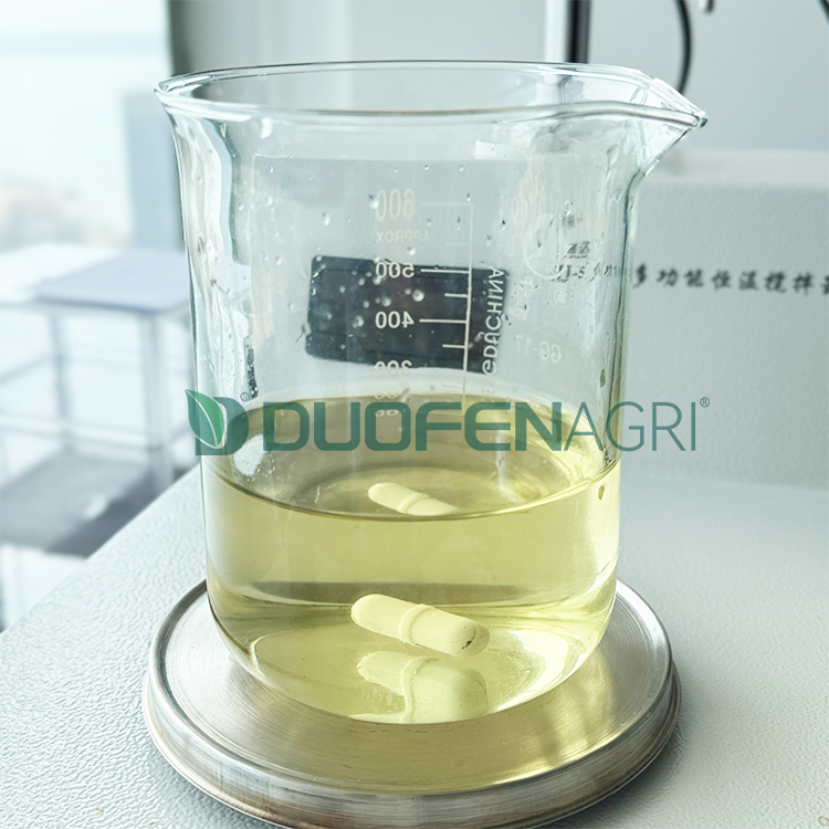 Wholesale Organic Seaweed Fertilizer Powder OEM Supplier image 5