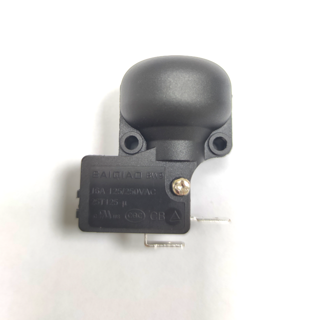 Wholesale Household Appliances 125/250VA Electric Heater Microswitch