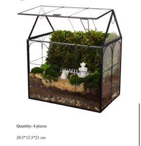Terrario de Vidrio para Orquídeas, Suculentas y Cactus, en Forma de Casa, Grande y Alto, con Tapa - Product Image 6