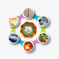 Perlite expansée utilisée comme matériau d'isolation pour la construction, l'horticulture et la culture des fleurs. Les particules de perlite sont sans poussière.