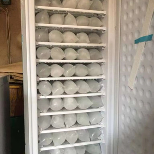 24v 198l 11/7 Layers Solar System <b>Ice</b> Cube Upright Freezer Per Day 70kg <b>Maker</b> Bd-198-11-h Dc Chest Freezer 220v Skd Ckd - Product Image 1
