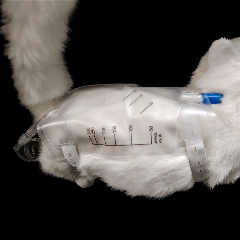 Veterinary Non Absorbable Sutures Cassette for