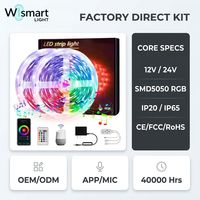 Tira de Luces LED RGBIC Inteligente Tuya DC24V, Control Remoto por WiFi, Sincronización con Música, IP20 IP65, Cambio de Color, Kit de Cinta Flexible