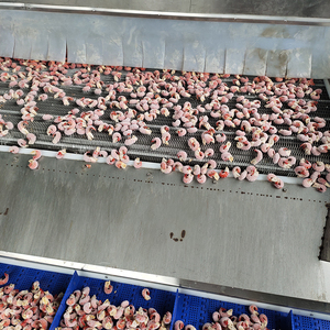 Congelatore Rapido Commerciale in Acciaio Inox Congelatore Industriale a Blast Freezing -40°C ℃   Raffreddamento Rapido per Carne e Frutti di Mare - Product Image 4