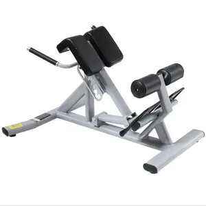 可调下背部长凳健身腹部背部伸展锻炼力量设备罗马椅