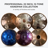 Classic Gold 12notes Handpan Drum 22-inch D Minor Drum Set Handmade Stainless Steel with Storage Bag for Instrument Beginners