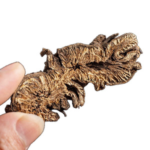 Raíz de Cimicifuga Cortada y Limpia, Sin Pesticidas, Base Herbal Premium para Tónicos <span class=keywords><strong>Kampo</strong></span> - Product Image 2
