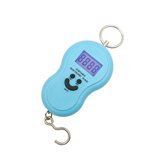 Bilancia Digitale Mini da 50KG per Pesca, Viaggi, Cucina, Bilancia Elettronica a Gancio per Alimenti e Bagagli - Product Image 1