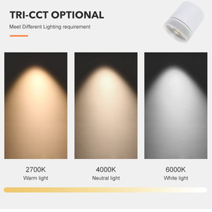 Trần Gắn Bề Mặt Điều Chỉnh Được Thiết Kế Hiện Đại EZELED Đèn Âm Trần LED 10W 20W Cho Khách Sạn Gia Đình - Product Image 5