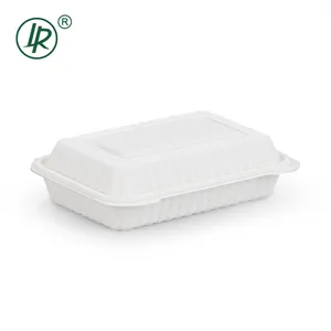 Boîte à lunch Bento LR 9*6 pouces 28oz de qualité alimentaire en matériau PP allant au micro-ondes et jetable Togo Contaienrs à charnière en plastique