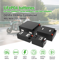 Baterai Lifepo4 48V 60V 72v 50ah 100ah Daya Tahan Tinggi 3000+ Siklus Bms Cerdas Universal Cocok untuk Kendaraan Listrik 2/3/4-Roda