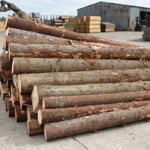 Beech Spruce & Pine Wood Logs Grade a 112cm Length 100m Diameter Round Cool Dry Storage 10 Year <b>Shelf</b> Life - Product Image 2